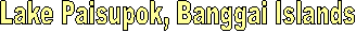 Lake Paisupok, Banggai Islands
